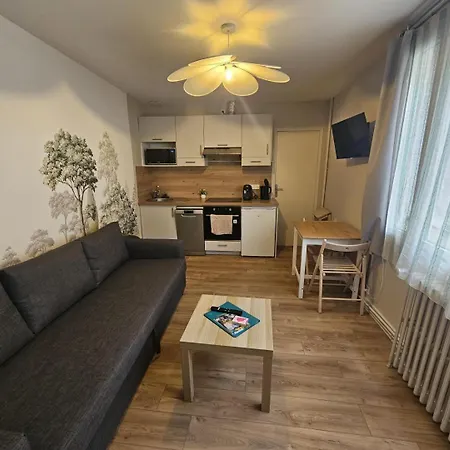 Le Logis D'alienor Apartment Poitiers